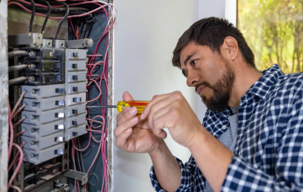 Best Electric Panel Repair  in Park City, IL